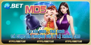 Tài xỉu MD5 - Trò chơi cá cược ưa chuộng với tỷ lệ thắng cao