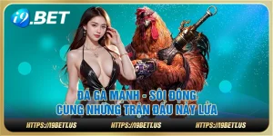 Đá gà mạnh tại i9Bet - Sôi động cùng những trận đấu nảy lửa