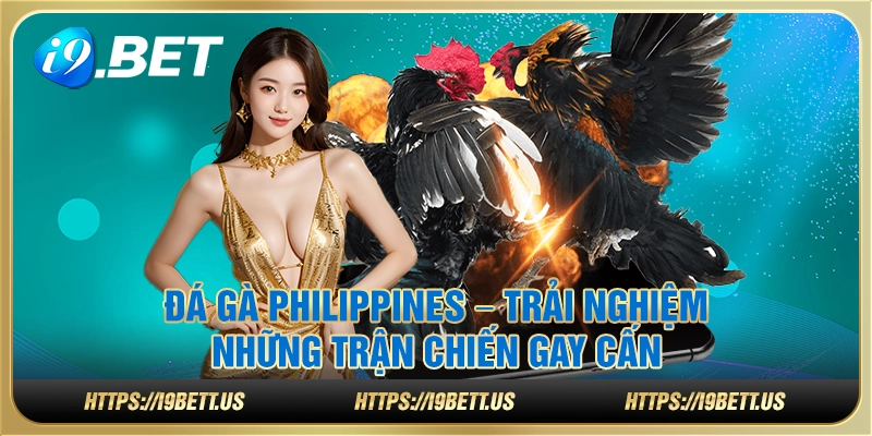 Đá gà Philippines – Trải nghiệm những trận chiến gay cấn