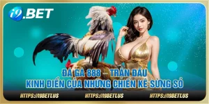 Đá gà 888 – Trận đấu kinh điển của những chiến kê sừng sỏ