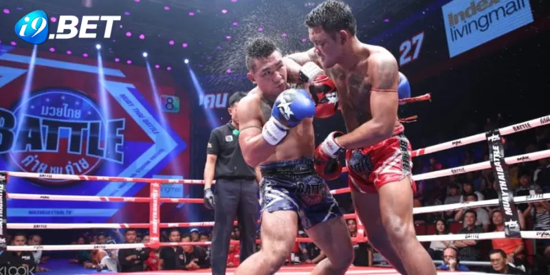 Những nét chính về cá cược boxing