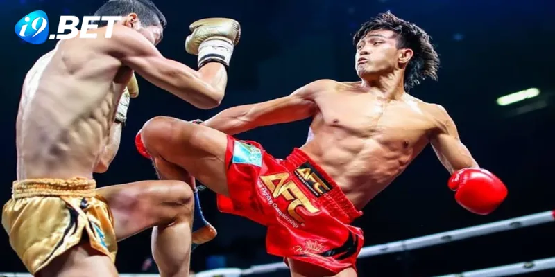 Hướng dẫn cá cược boxing cho người mới bắt đầu